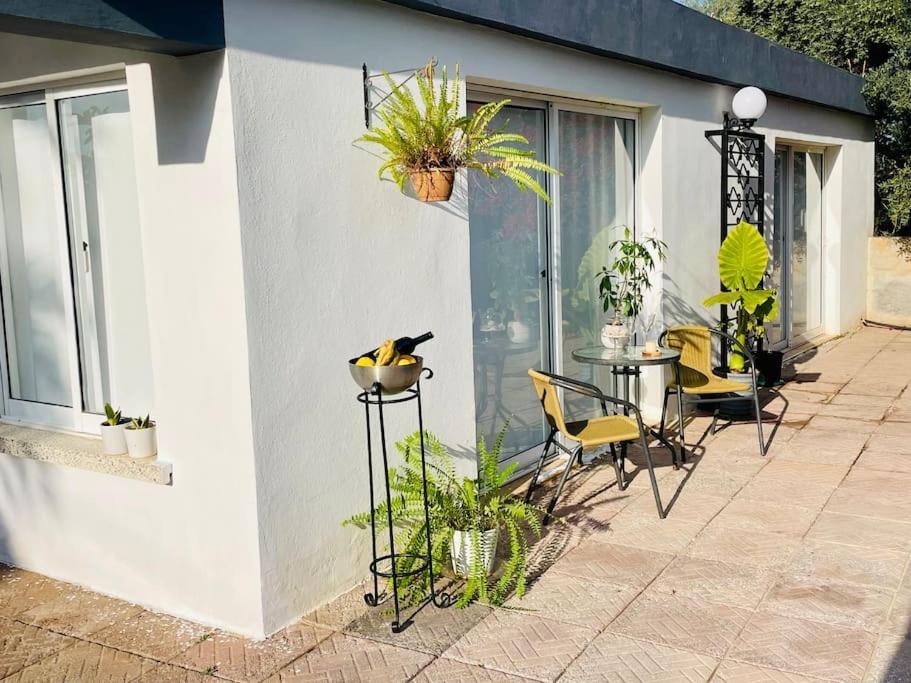 Garden Famagusta (Northern Cyprus)