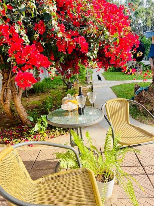Holiday home Garden *