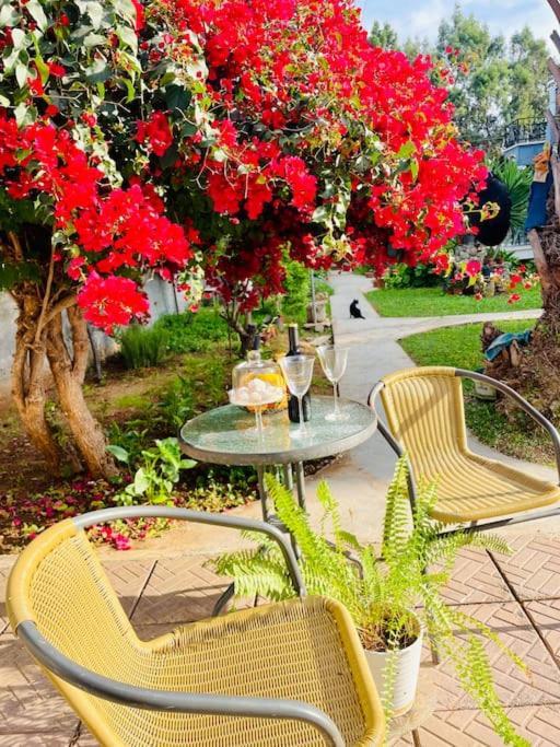 Holiday home Garden